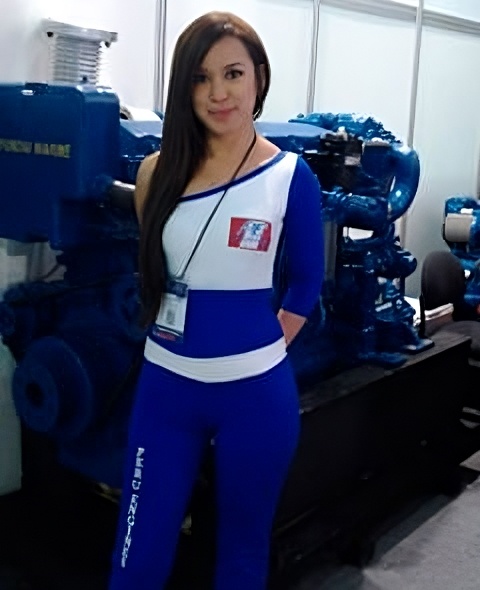 Motores Hyundai Marine